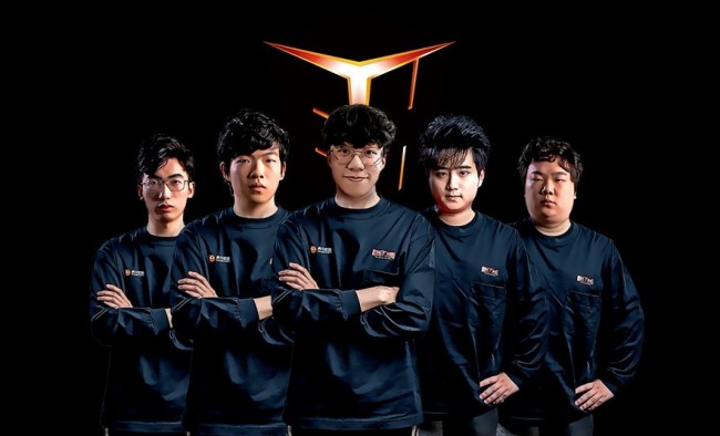 族团结的象 族团结的象