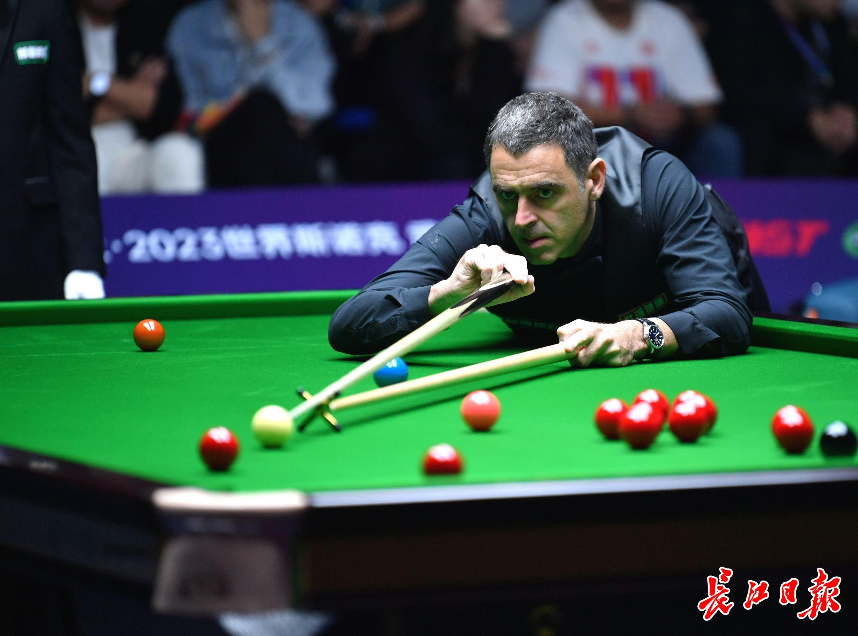 的独特之处 的独特之处